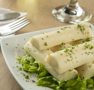 Palmito La Cima como una opción para aumentar el consumo de vegetales en Costa Rica